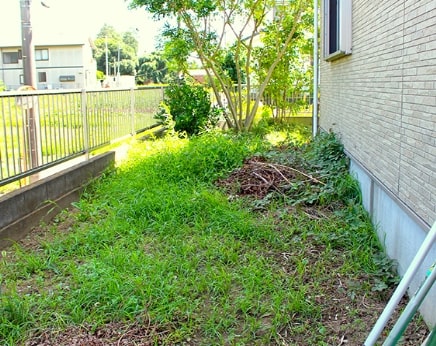 雑草の手入れが大変