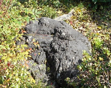 残土、大きな石、廃材の撤去